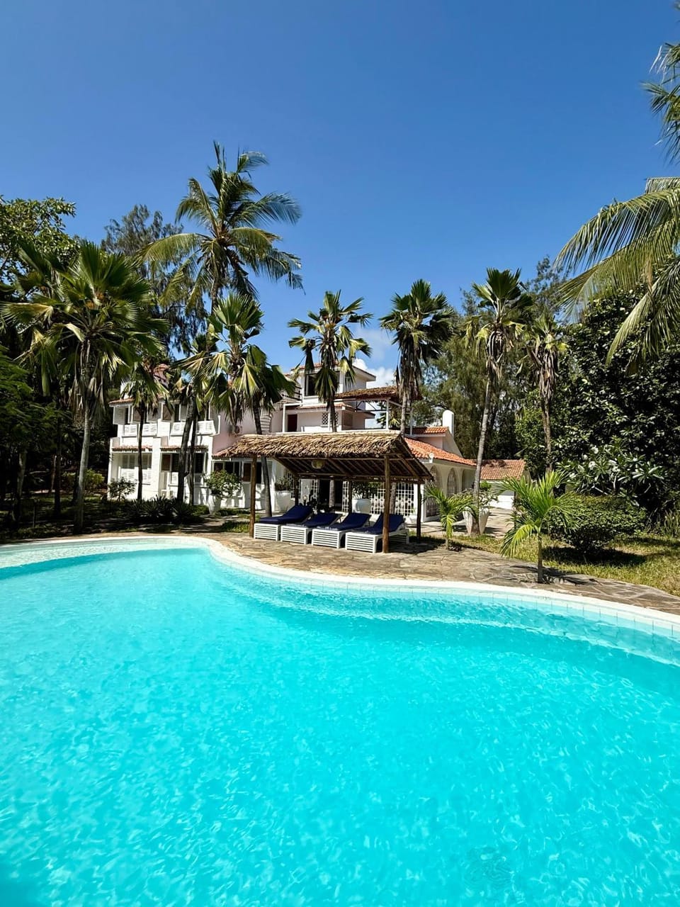 Spring, Day, Natural landscape, Garden, Garden view, Pool view, Swimming pool, Swimming pool, sunbed