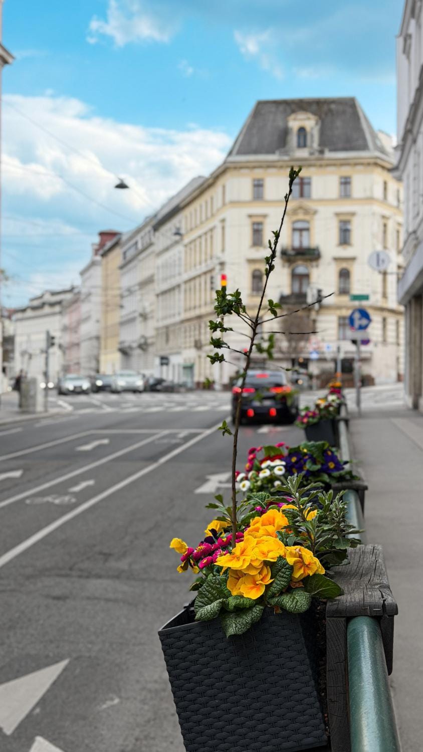 Sunny Flat Park City Nearby Apartment in Vienna