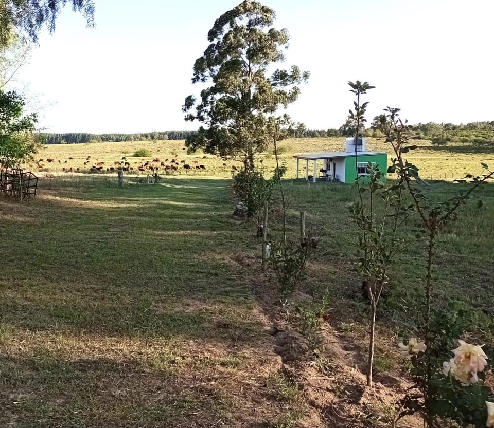 Natural landscape