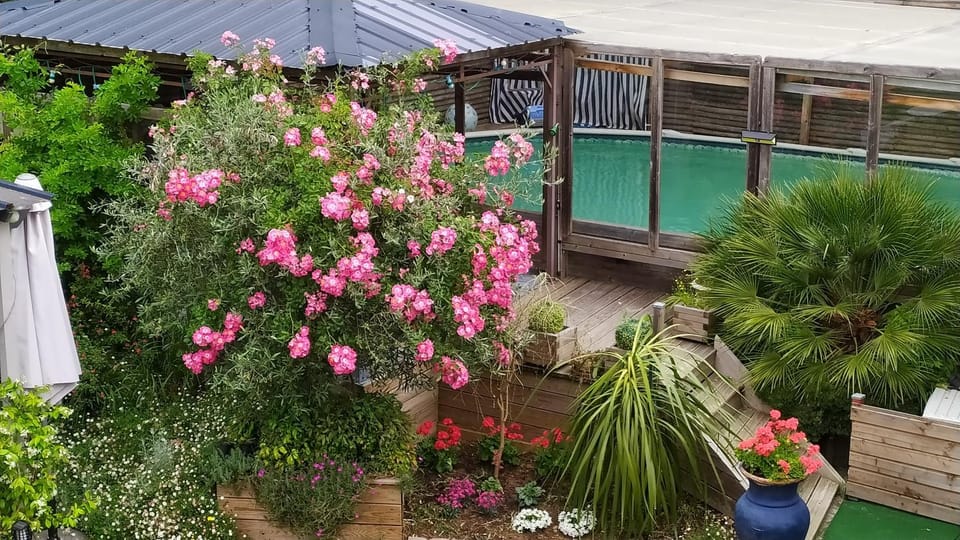 Garden view
