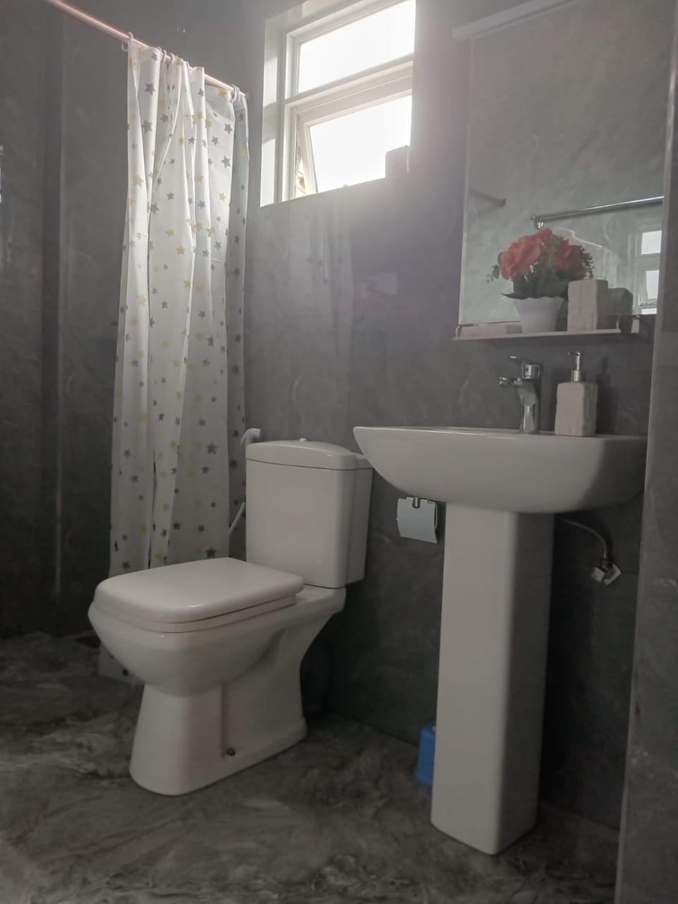 Shower, Toilet, Bathroom, bidet