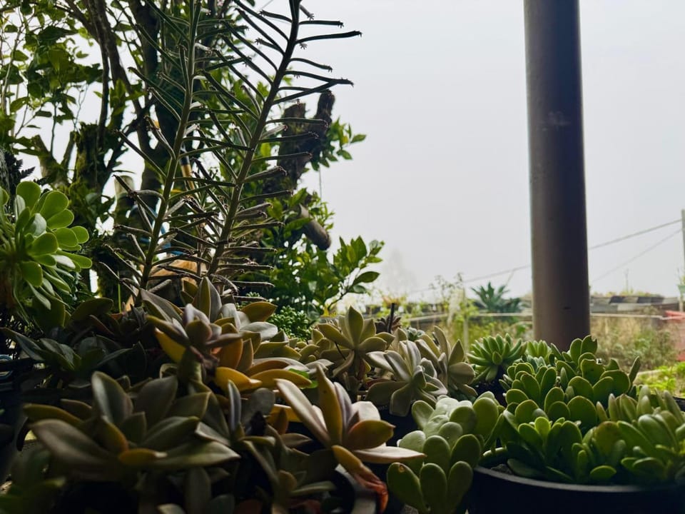 Garden, Garden view