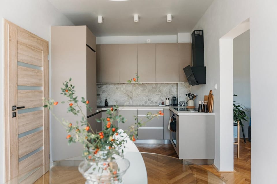 dishwasher, oven, stove, toaster, kitchen