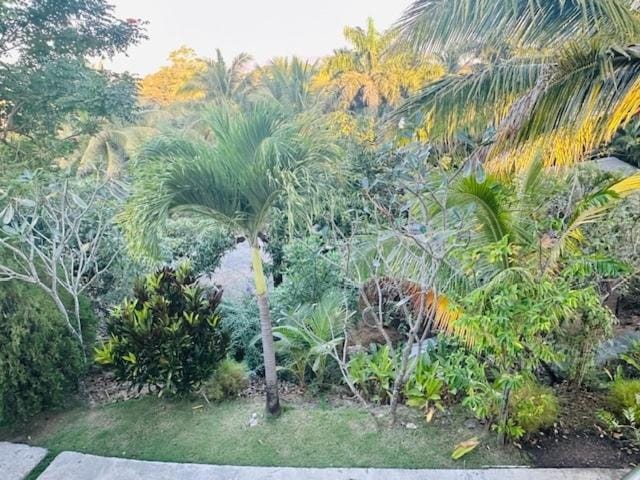 Garden view
