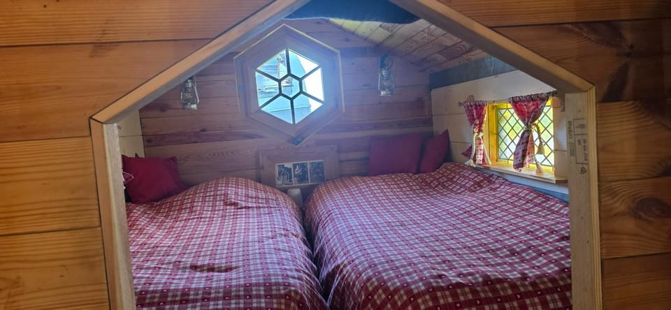Nuit insolite, repas autour du feu piscine sauna jaccuzi Luxury tent in Vosges