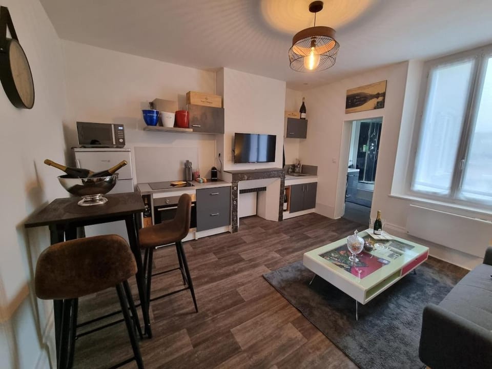 Appartement cosy Apartment in Epernay