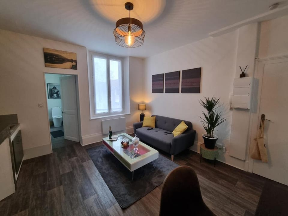Appartement cosy Apartment in Epernay