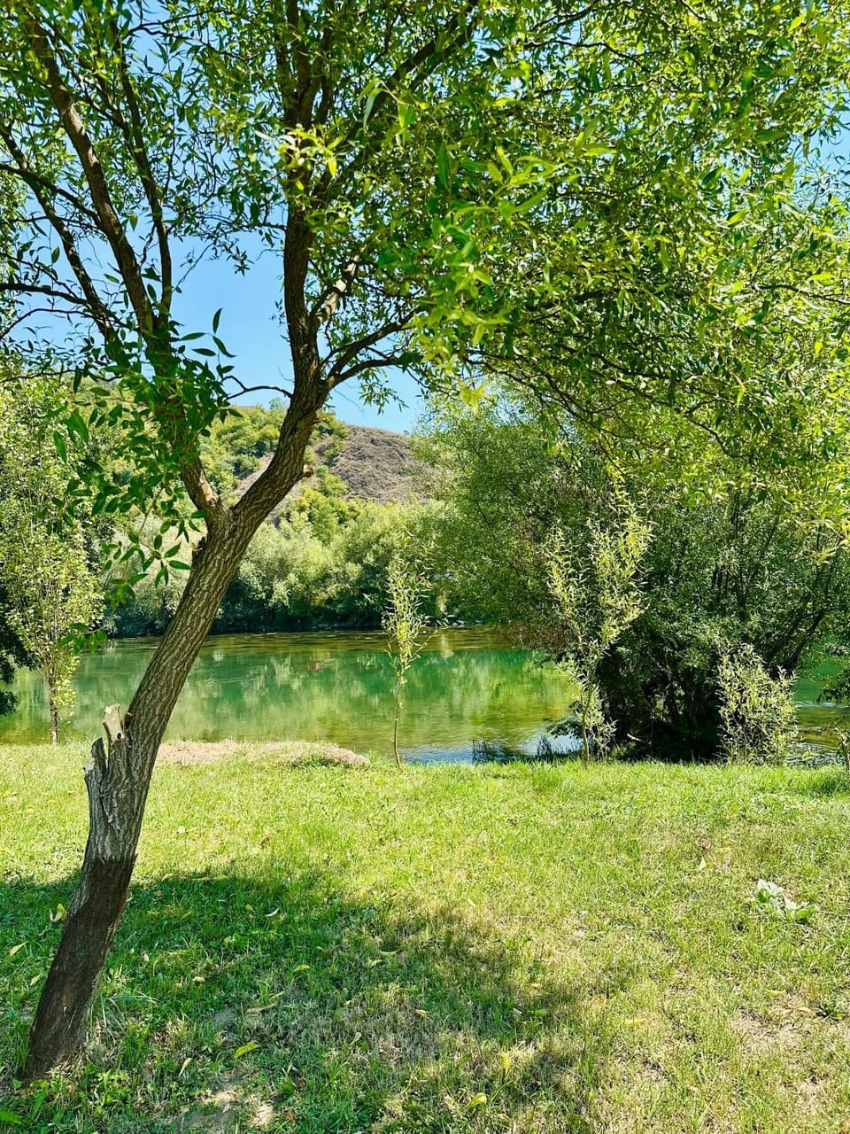 Natural landscape, Garden, Beach, Beach, Garden view