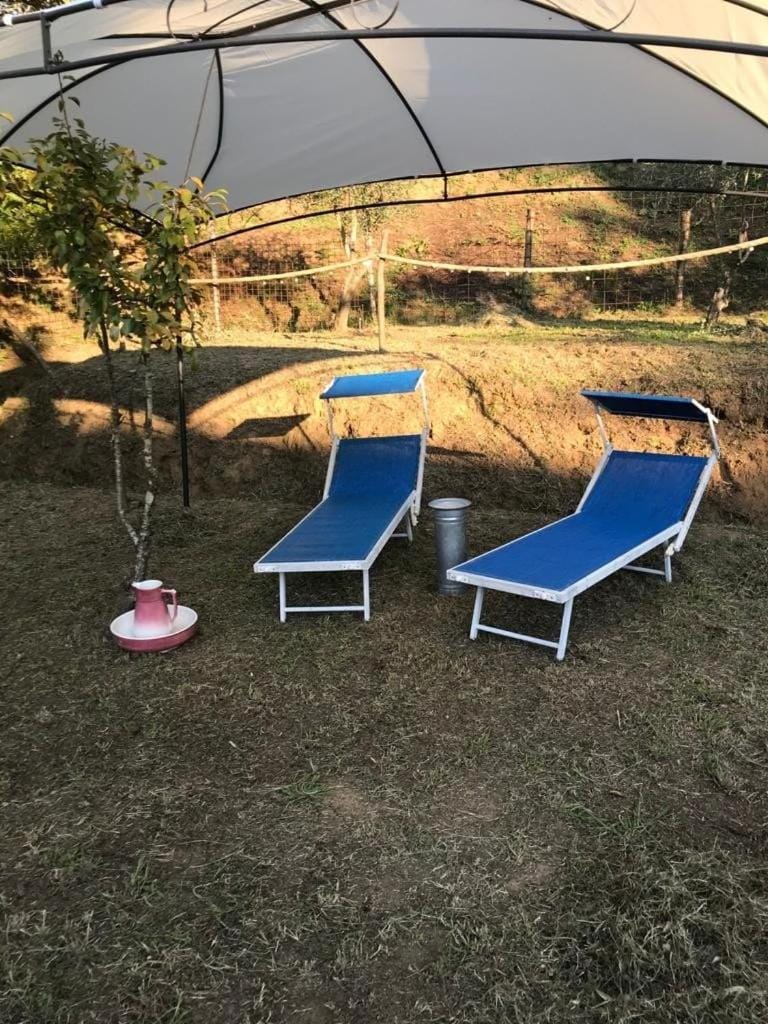Spring, sunbed