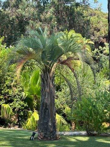 Natural landscape, Garden