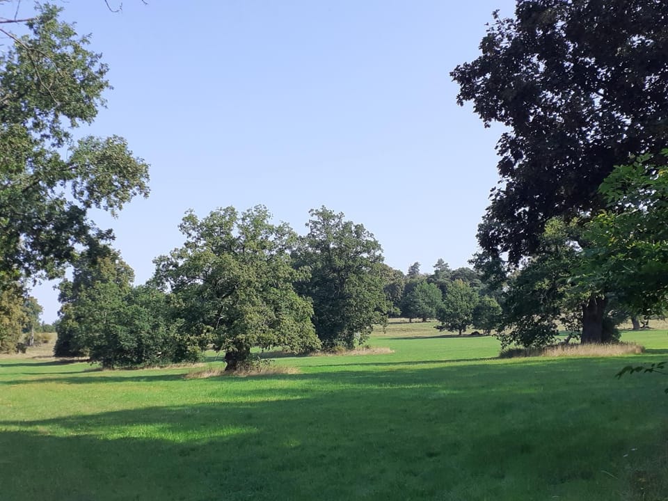 Natural landscape