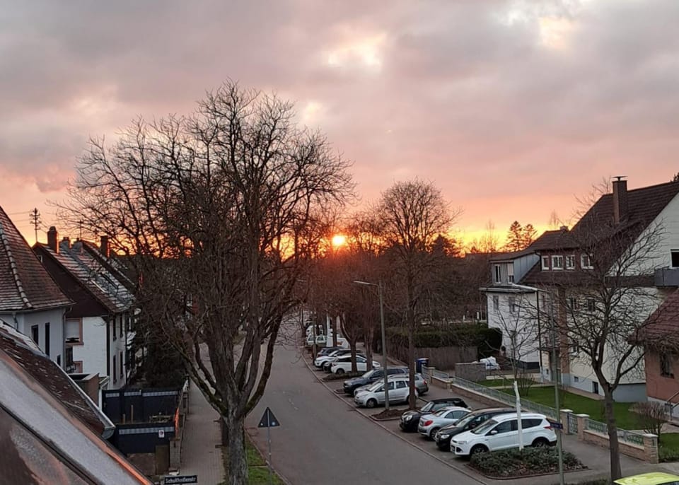 View (from property/room), Street view