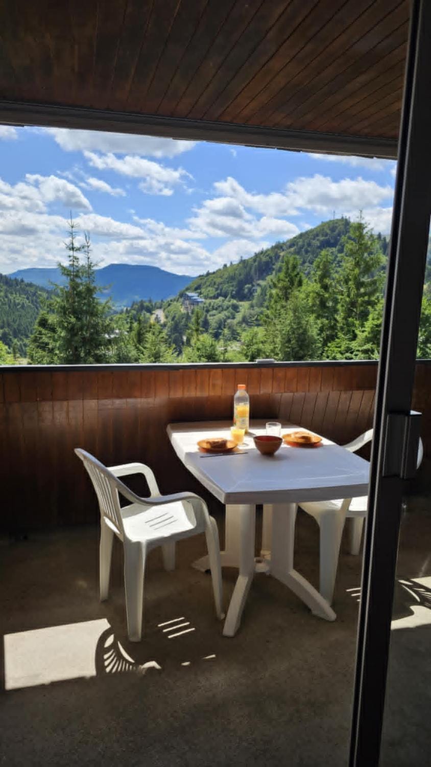 Le Nid des Cimes- séjour détente face aux sommets Apartment in Auvergne-Rhône-Alpes