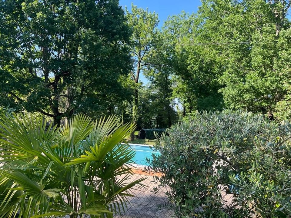Natural landscape, Garden, Pool view, Swimming pool