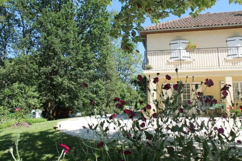 Property building, Day, Garden view