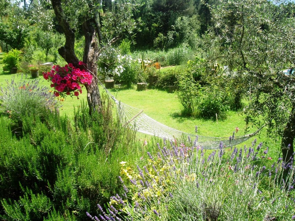 Day, Natural landscape, Garden, Garden view