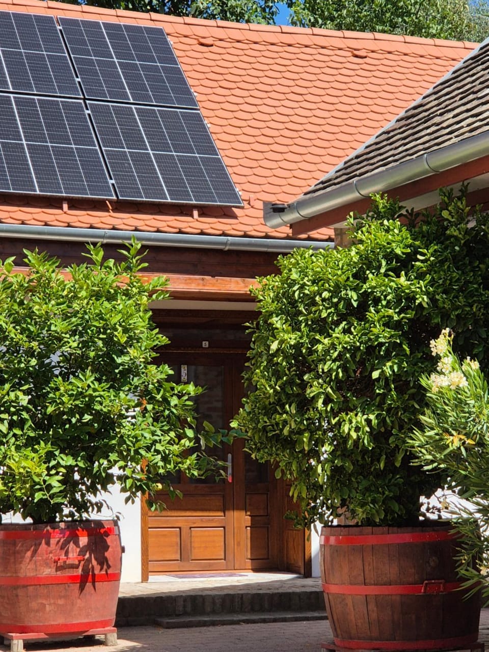 Property building, Garden