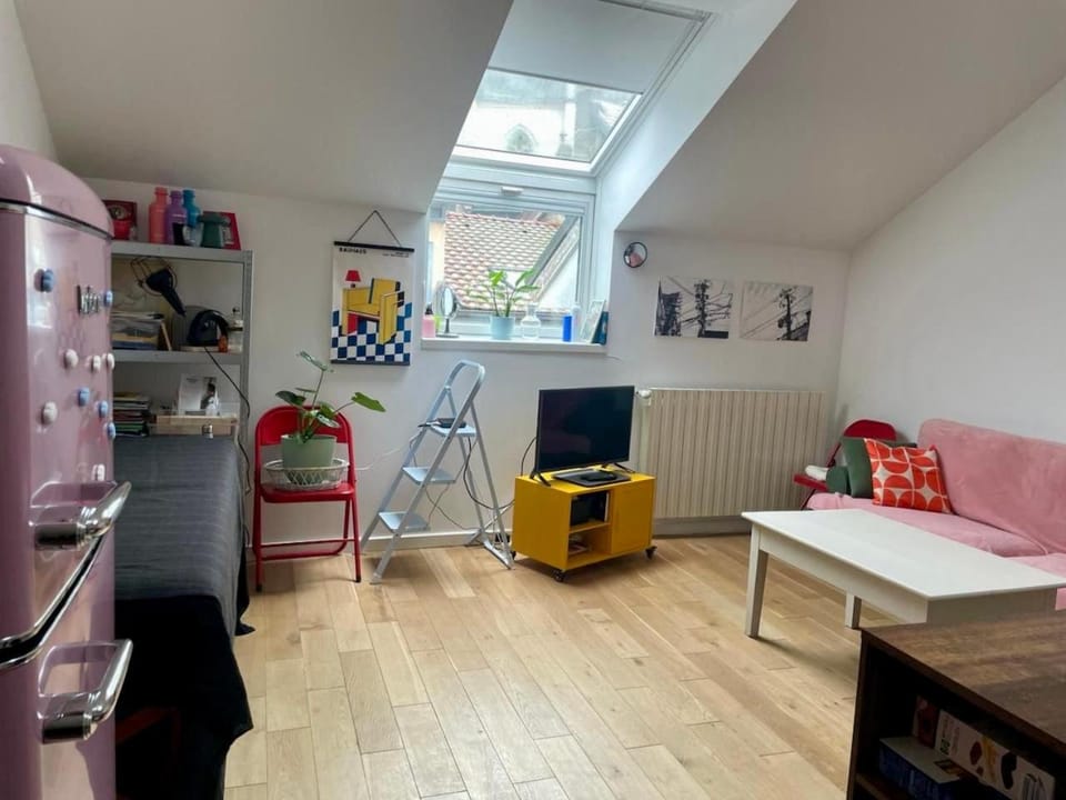 Cocon coloré en plein centre Apartment in Thonon-les-Bains