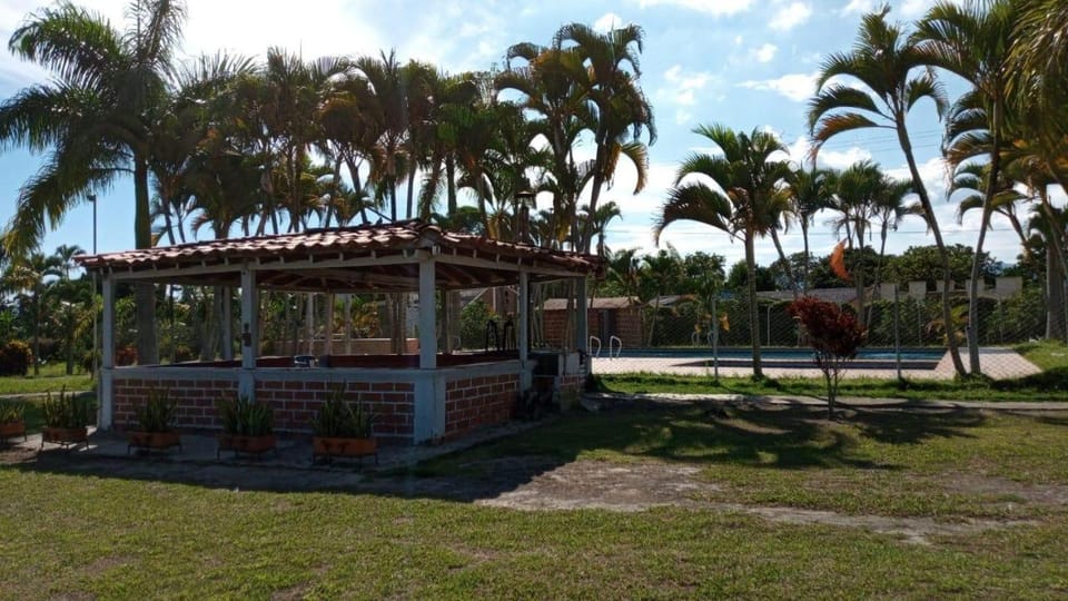 Garden view