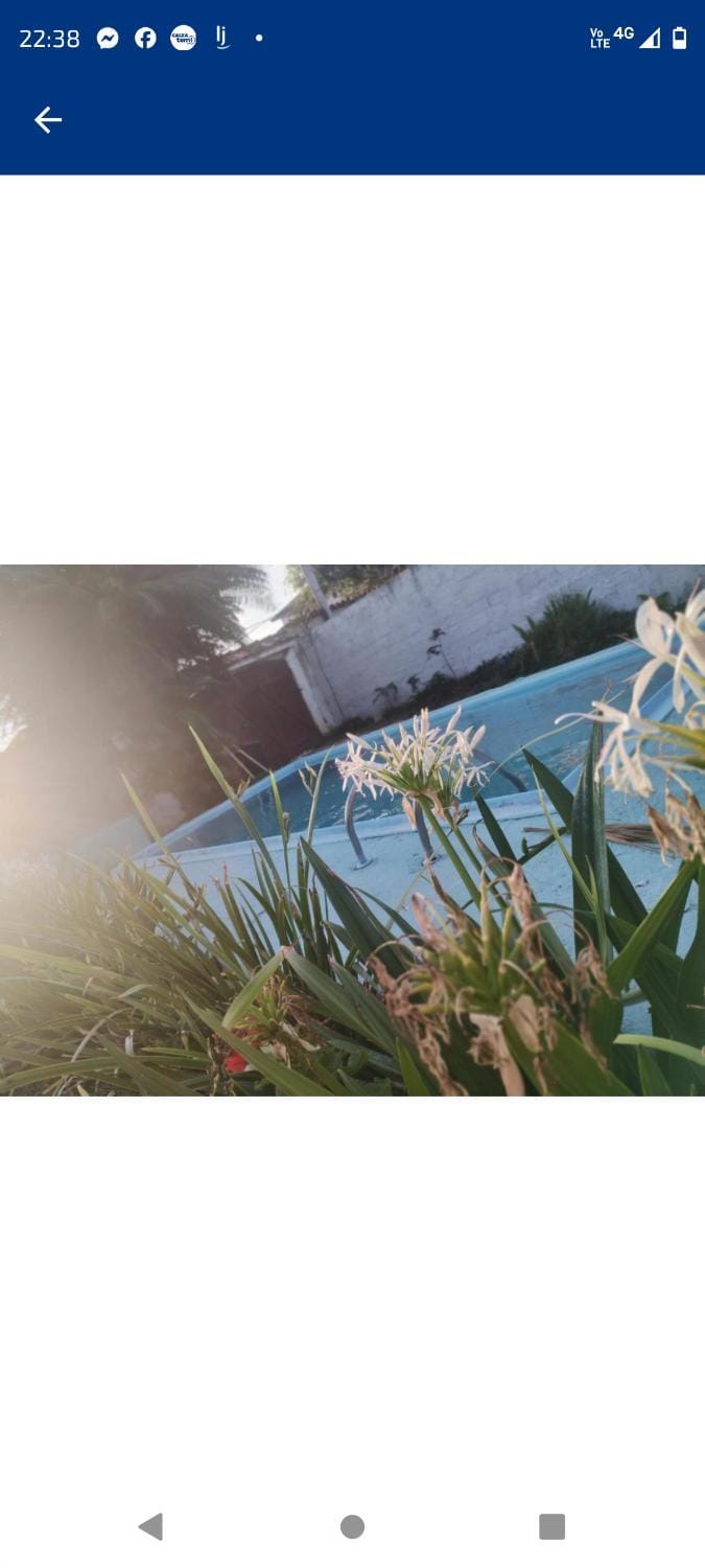 Casa Aloha Barra Bed and Breakfast in State of Rio de Janeiro