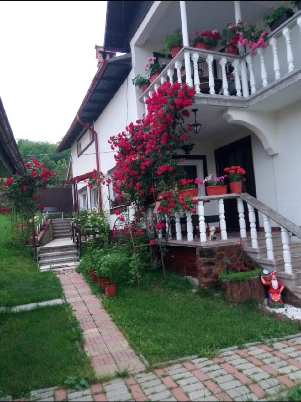 Pensiunea Andreea Bed and Breakfast in Romania