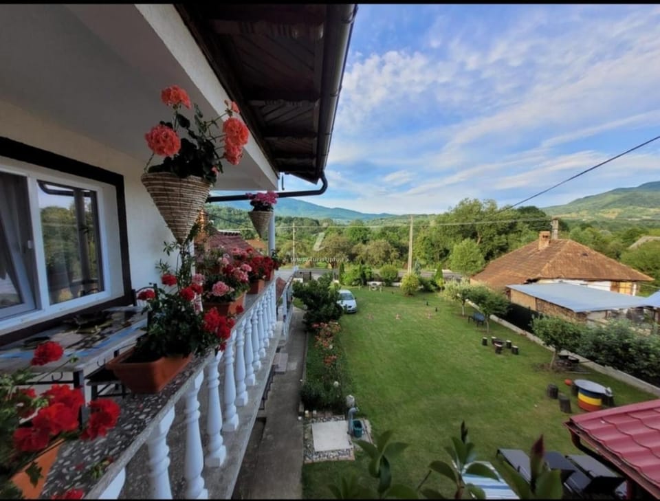 Pensiunea Andreea Bed and Breakfast in Romania
