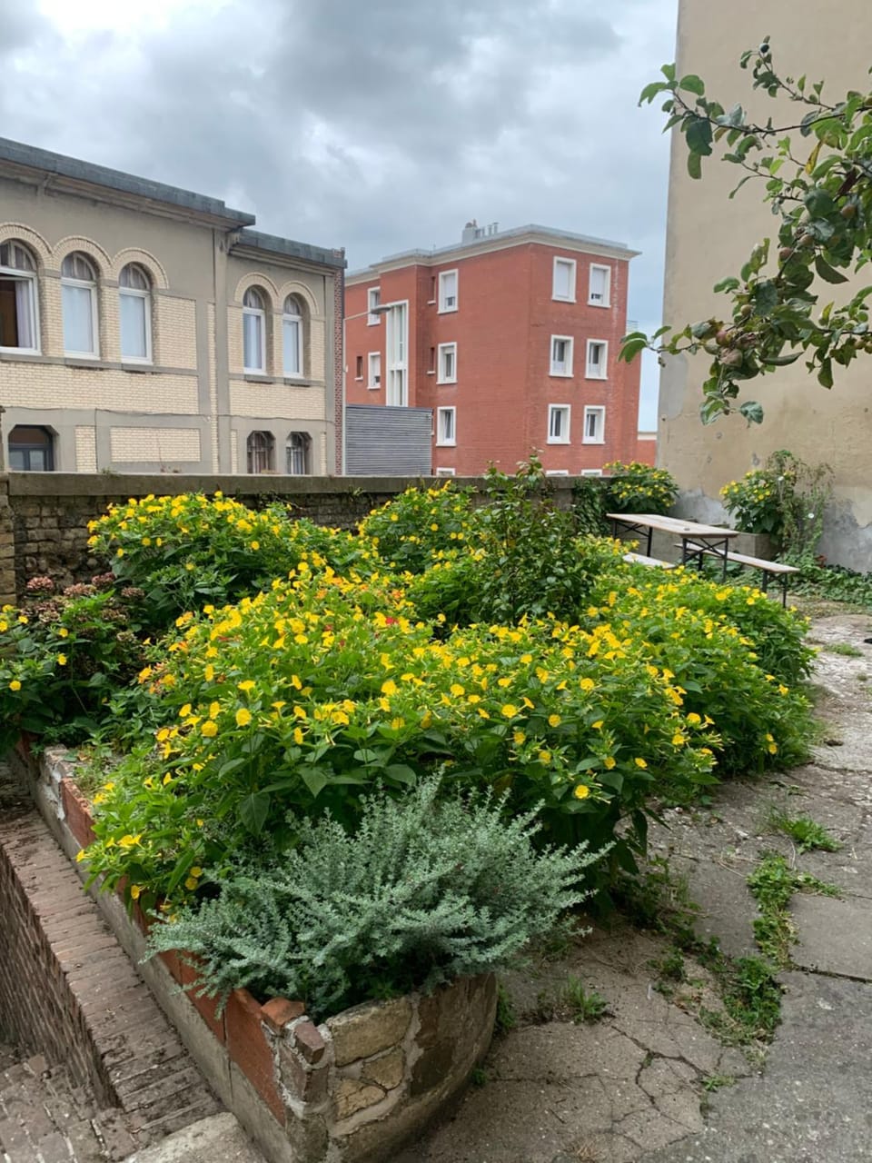 Le maupassant Apartment in Le Havre