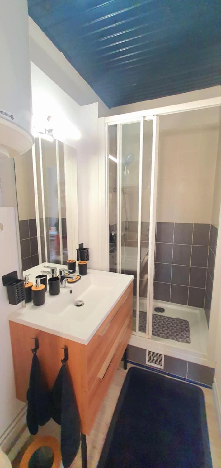 Le maupassant Apartment in Le Havre