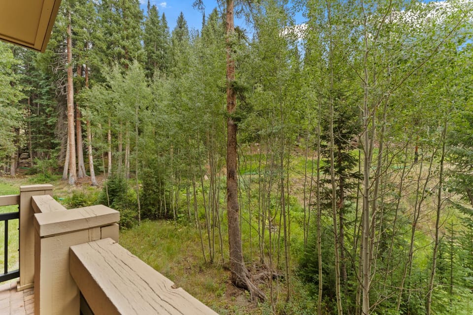 Lone Eagle #3008 Apartment in Keystone