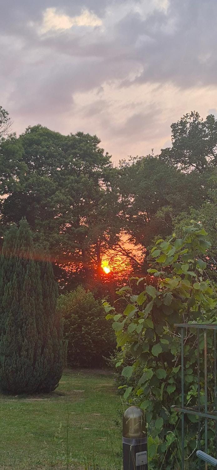 Garden, Sunset