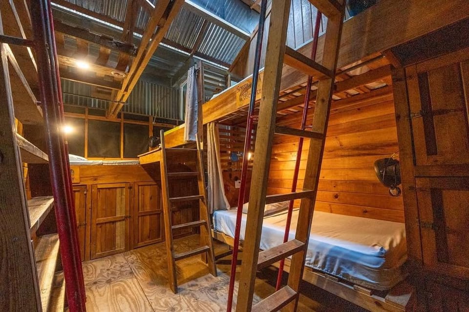 Bed, Photo of the whole room, Bedroom, bunk bed