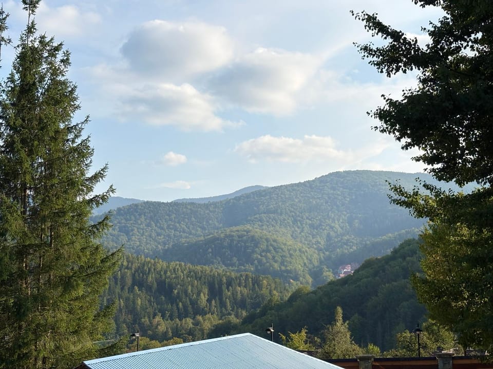 Mountain view