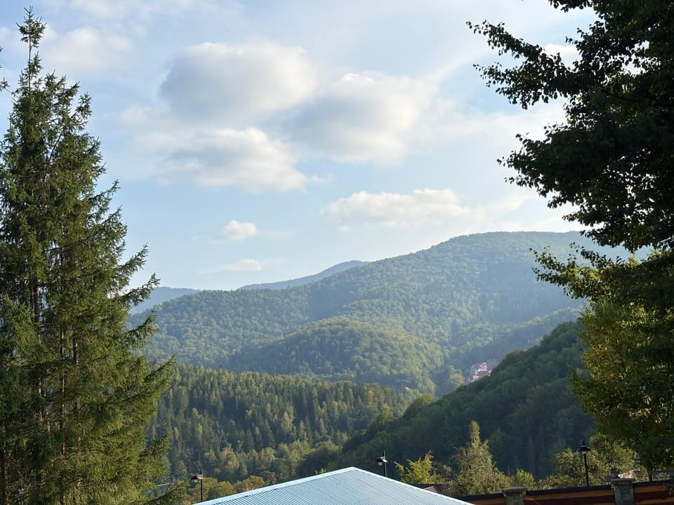 Mountain view