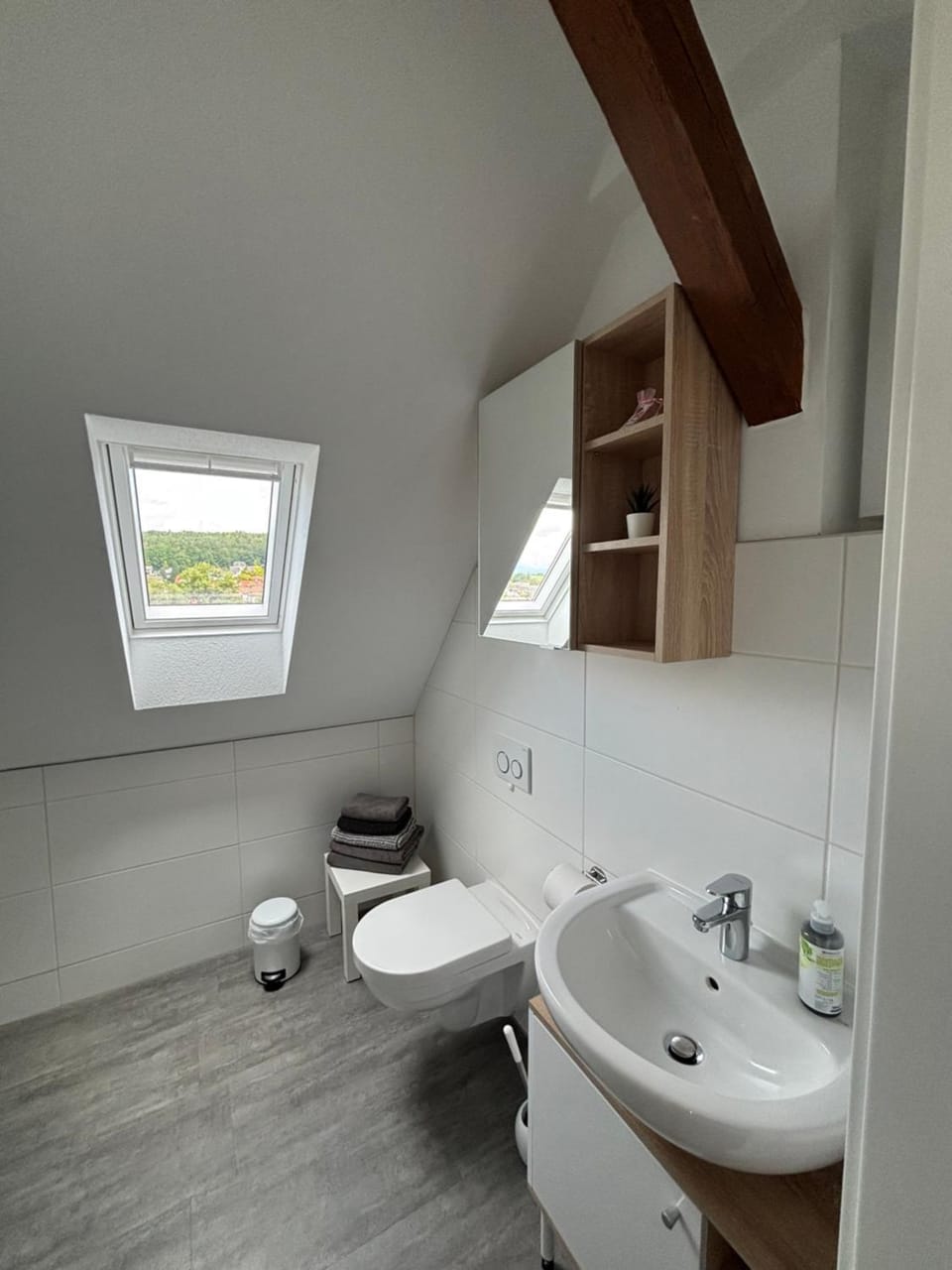 Toilet, Bathroom