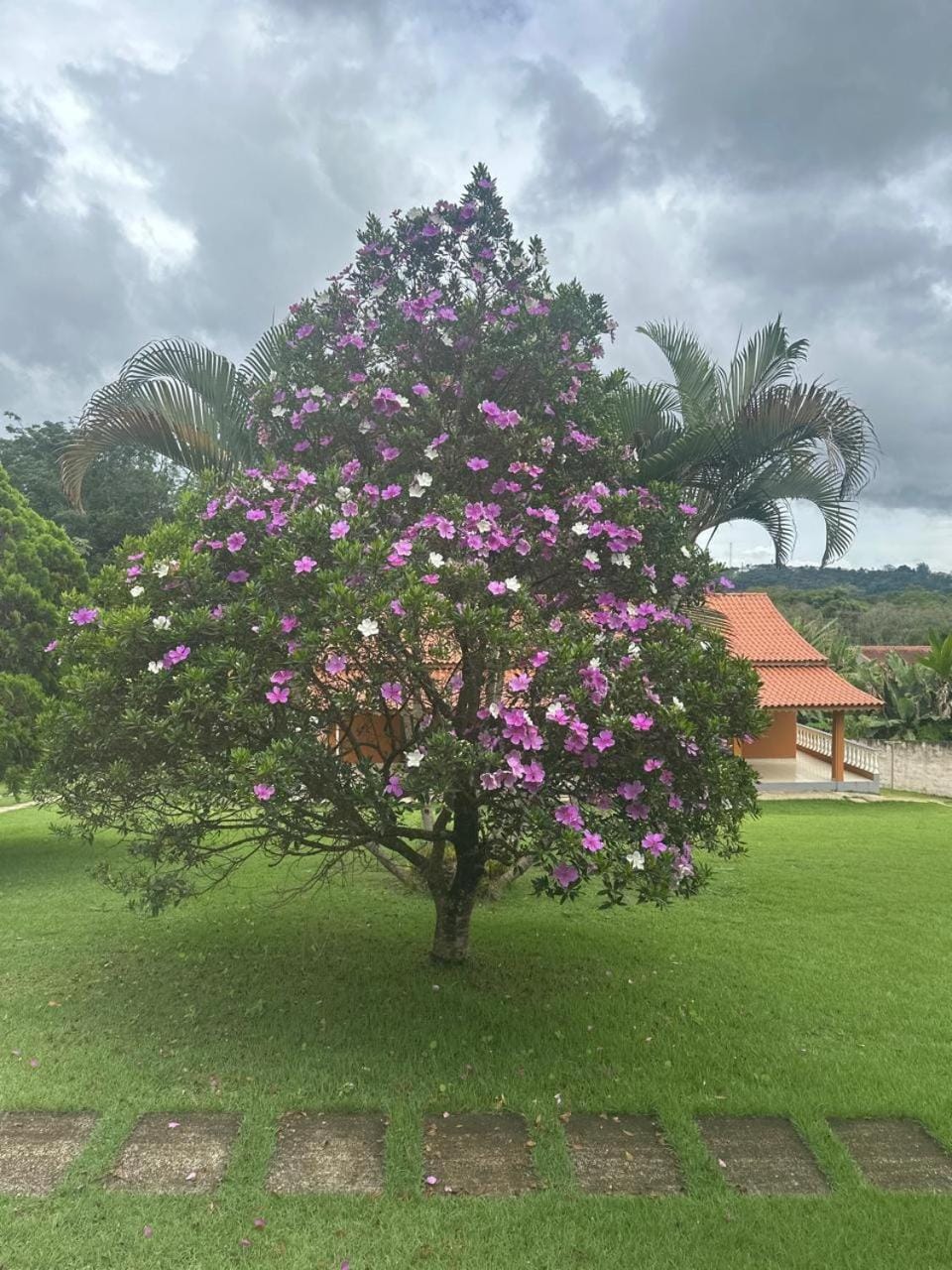 Spring, Day, Natural landscape, Garden