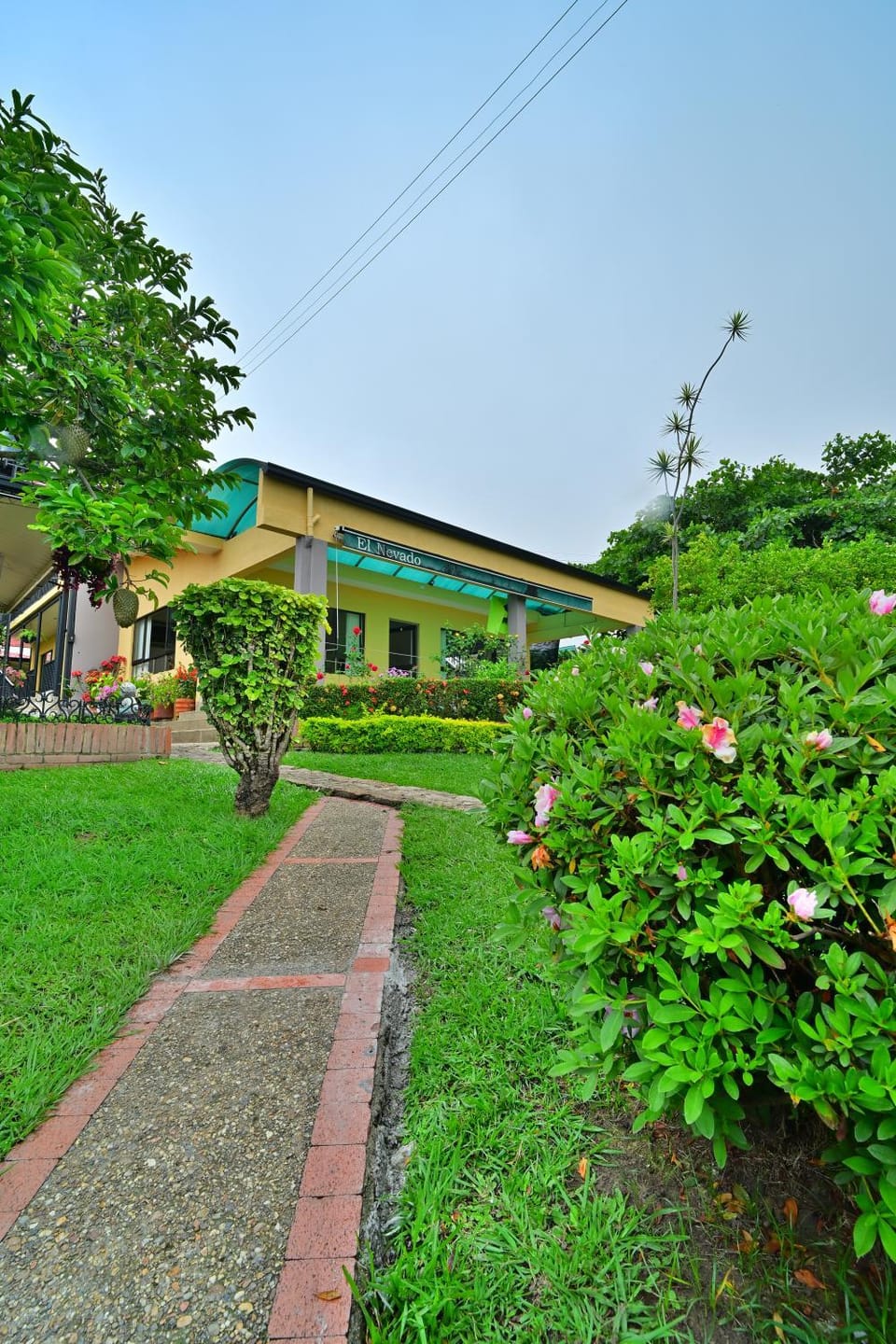 Property building, Spring, Day, Natural landscape, Garden, Garden, Garden view