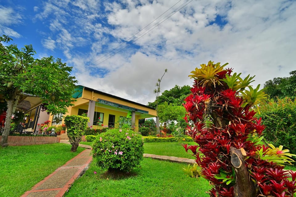 Day, Garden, Garden, Garden view