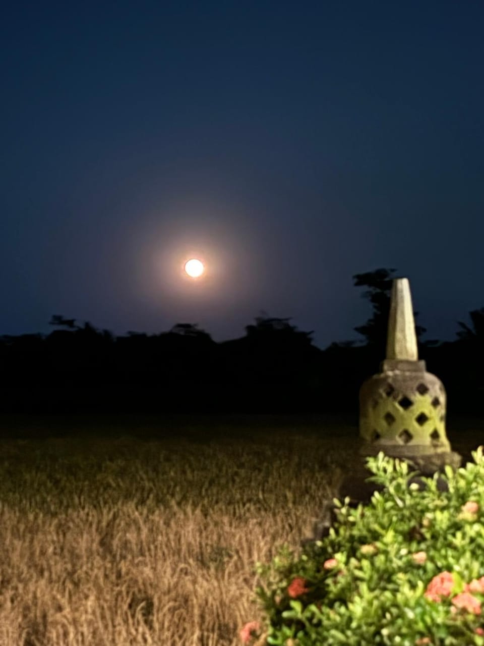 Rumah Dharma Bed and Breakfast in Special Region of Yogyakarta
