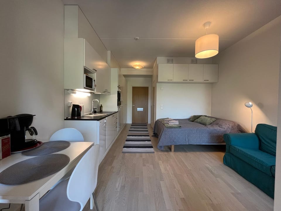 Bed, Kitchen or kitchenette, Living room, Seating area