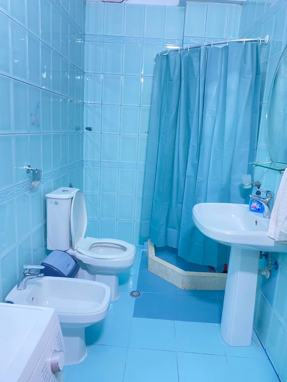Shower, Toilet, Bathroom, bidet