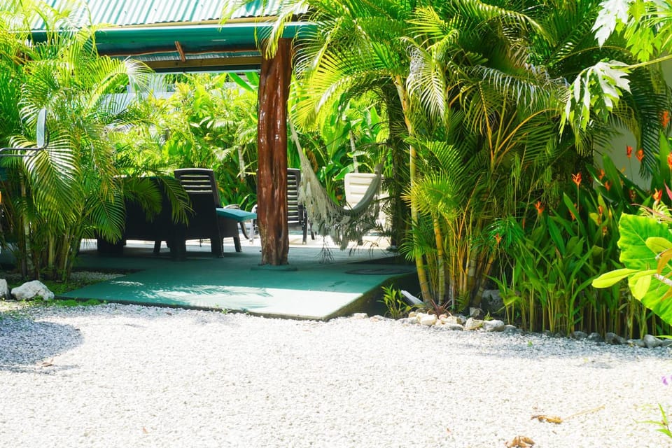 Garden view