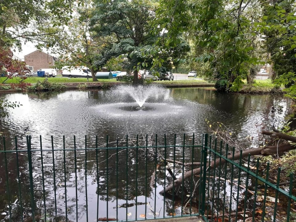 Green Woods Lovely 1 Bed Apt in Blackheath, London Apartment in London Borough of Lewisham