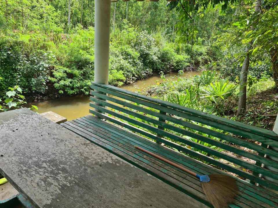 Garden, Balcony/Terrace