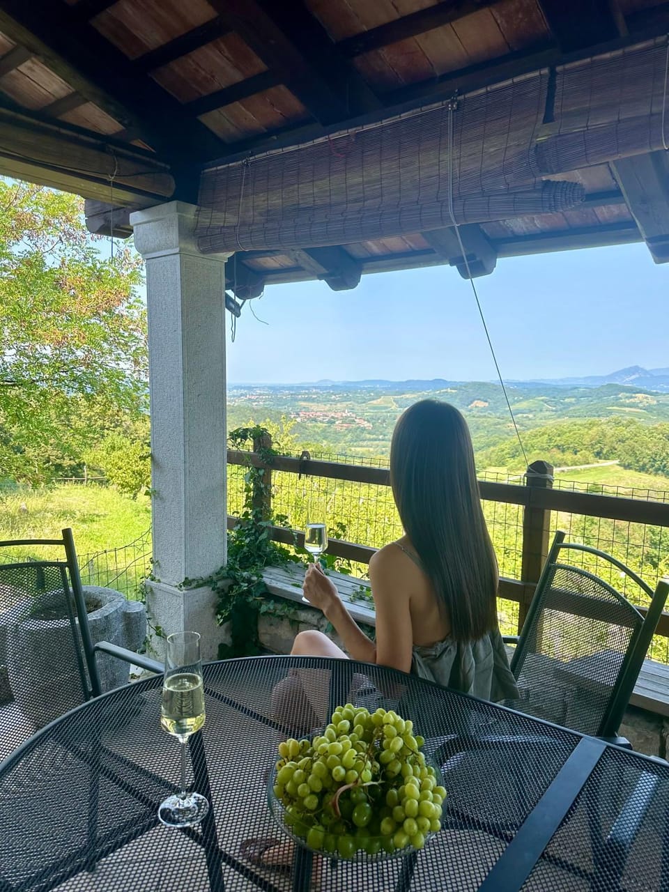People, View (from property/room), Balcony/Terrace, Food and drinks, Mountain view, Drinks, group of guests