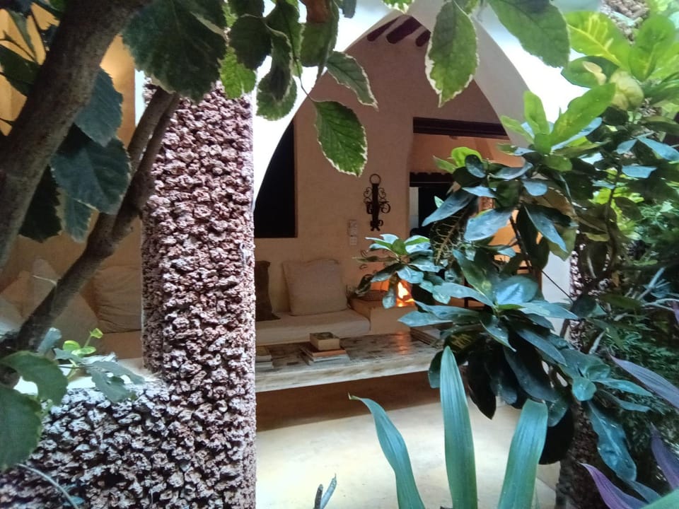 Garden view