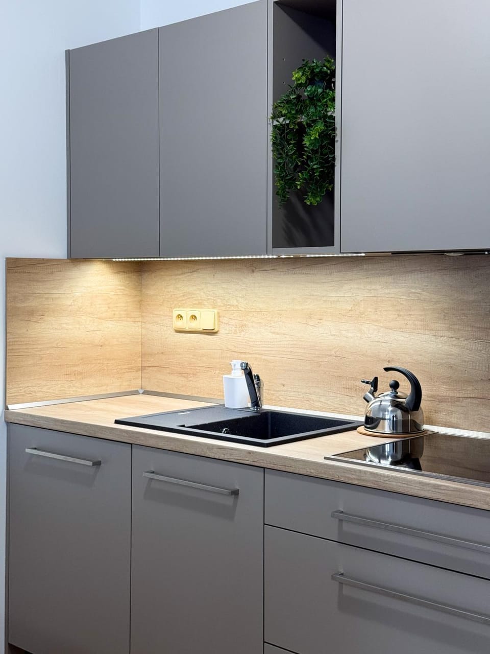Apartmány na Bolzance Apartment in South Moravian Region