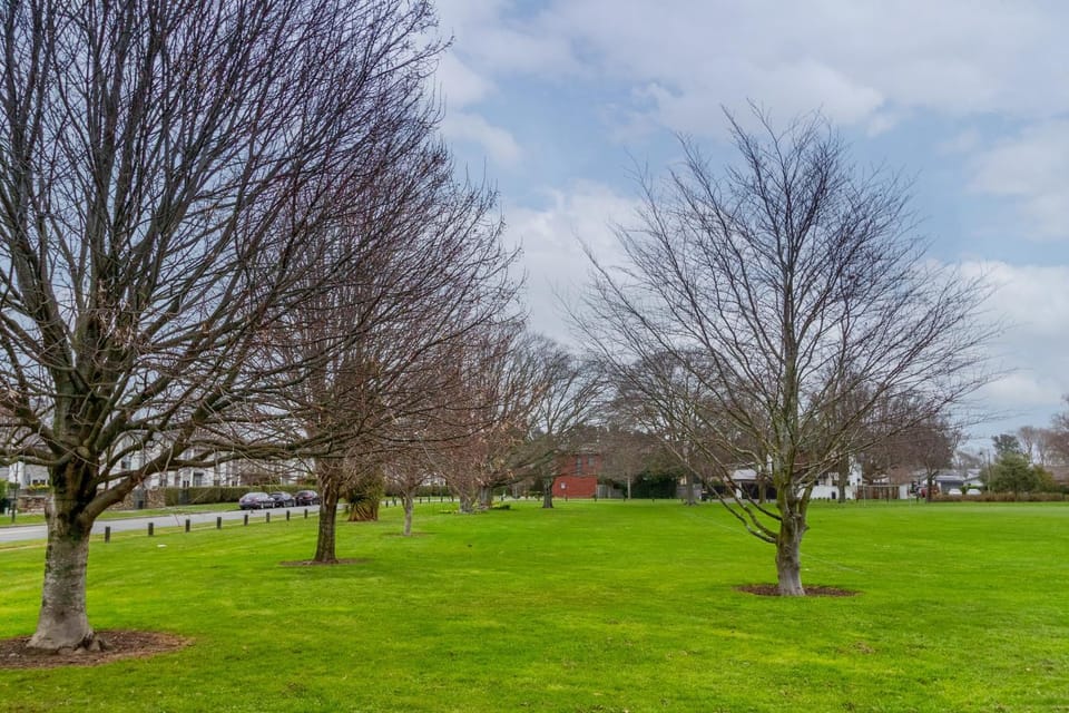 Spring, Day, Natural landscape, Garden view