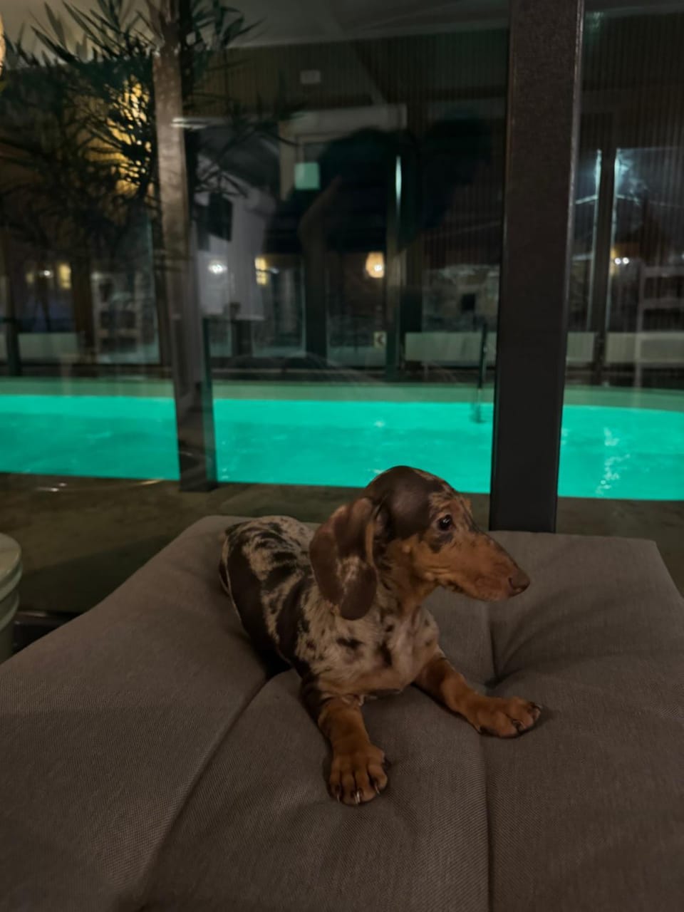 La Mosie Bed and Breakfast in Serbia