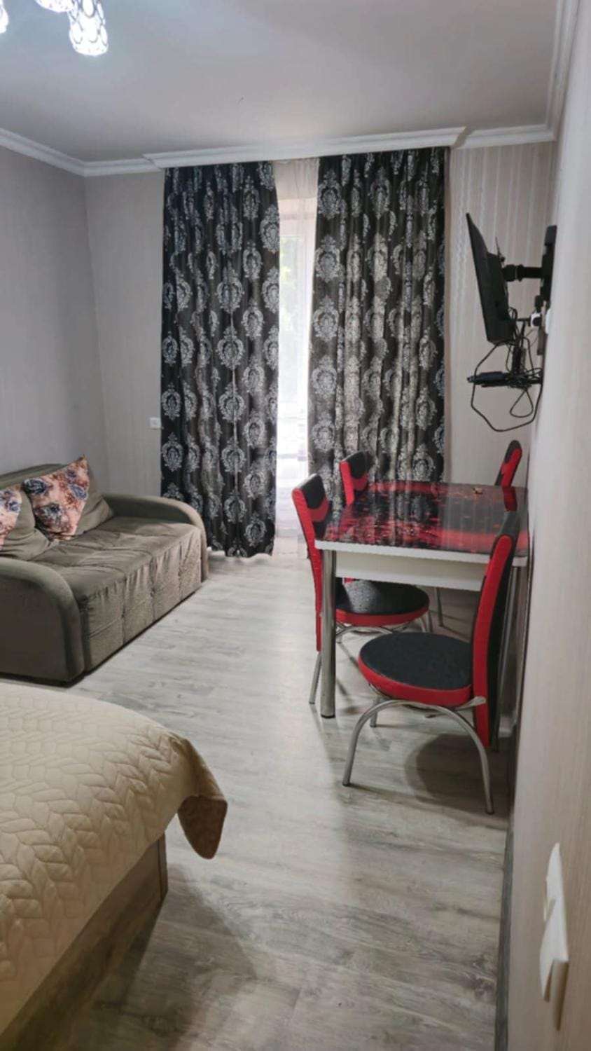 Nika Apartment in Georgia