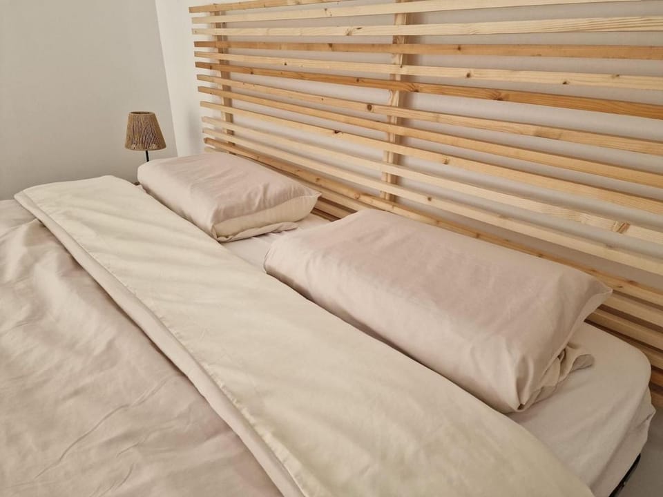 T3 Duplex - Centre-ville Apartment in Auvergne-Rhône-Alpes